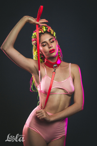 Obojek Party Hard Circus Red 1085-02lola