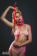 Obojek Party Hard Circus Red 1085-02lola