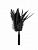 Šimrátko Burlesque Plume Black 1082-02lola