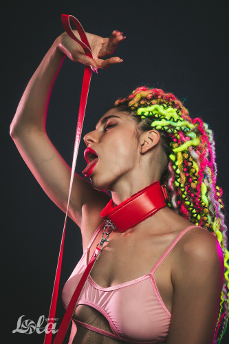 Obojek Party Hard Circus Red 1085-02lola