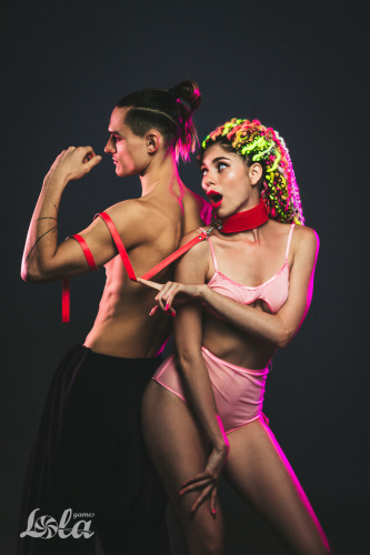 Obojek Party Hard Circus Red 1085-02lola