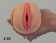 Dvojitý masturbátor Satisfaction Goddess of Love 2101-04Lola