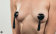 Nálepky na bradavky Burlesque Gipsy Black 3634-05lola
